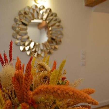 קרקסון Charmant Appartement - Proche Chateau Cite מראה חיצוני תמונה