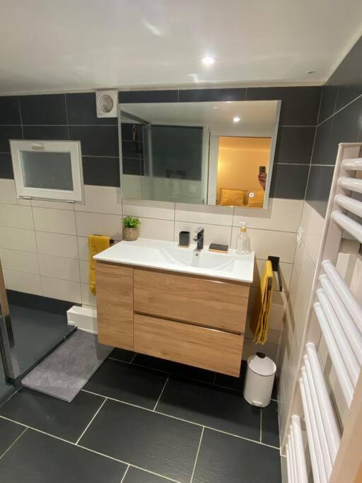 קרקסון Charmant Appartement - Proche Chateau Cite מראה חיצוני תמונה