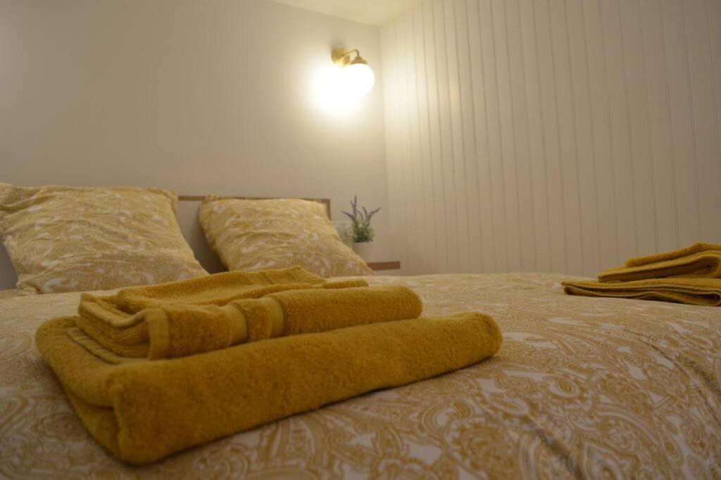 קרקסון Charmant Appartement - Proche Chateau Cite מראה חיצוני תמונה