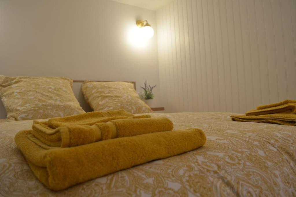 קרקסון Charmant Appartement - Proche Chateau Cite מראה חיצוני תמונה